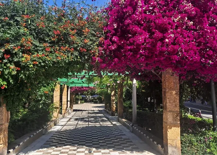 Alameda11 * كاديز